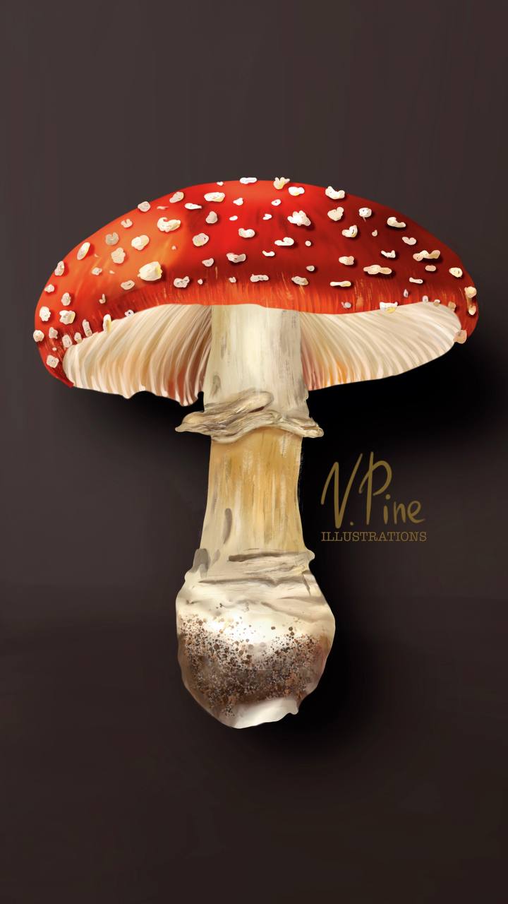 Amanita